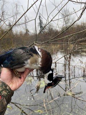 Photo of Jakob Aitken A.