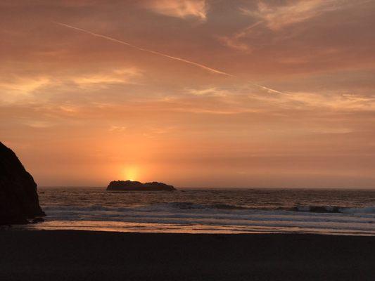 photo of Whimsical B.