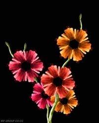 photo of Michelle W.