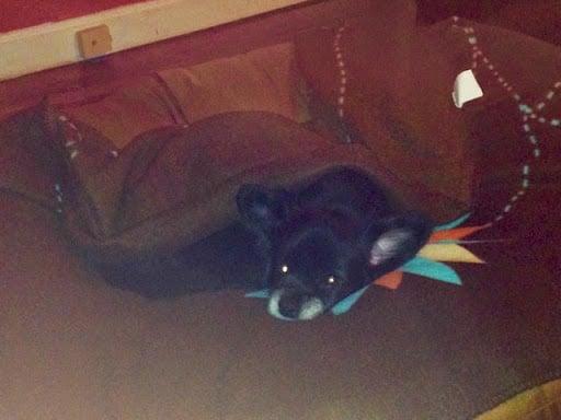 photo of Michelle D.