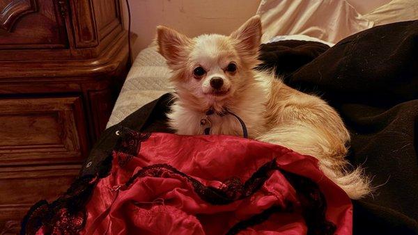 photo of Elizabeth R.