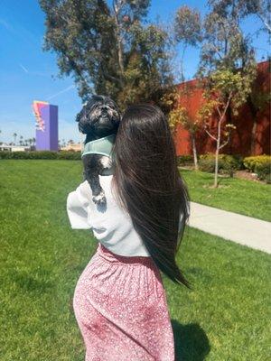 Photo of Andrea V.