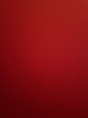 photo of Nathalia R.