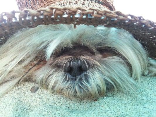 photo of Elizabeth D.