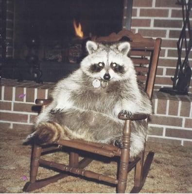 Photo of Catrin W.