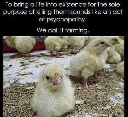 photo of Valley Girl S.