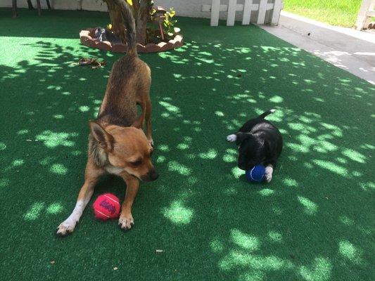 photo of Daniella C.