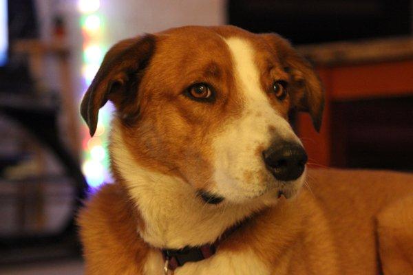 Photo of Rye B.