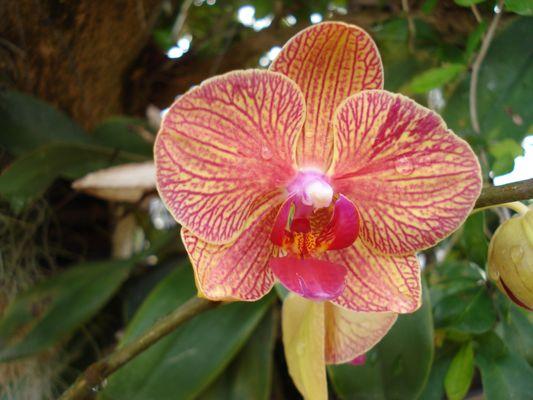 photo of Jacqueline S.