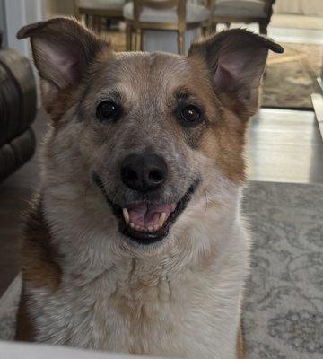 photo of Angelica A.