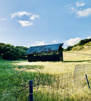 Photo of CC R.