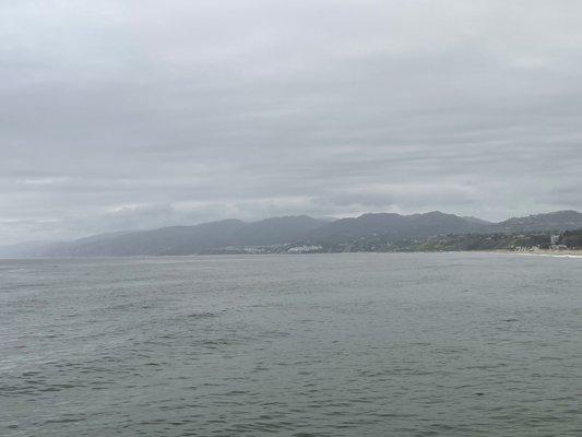 Photo of Angela C.
