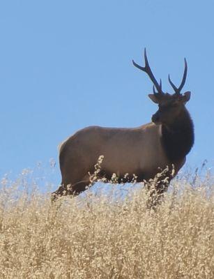 Photo of Fresno B.