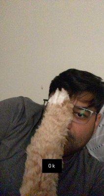 Photo of Raj K.