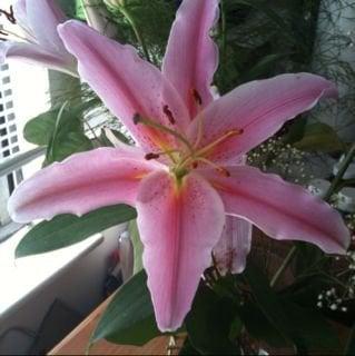 photo of Michelle G.