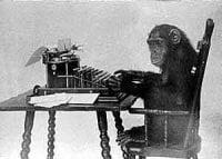 Photo of Paul D.