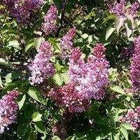 photo of Mary Ellen H.