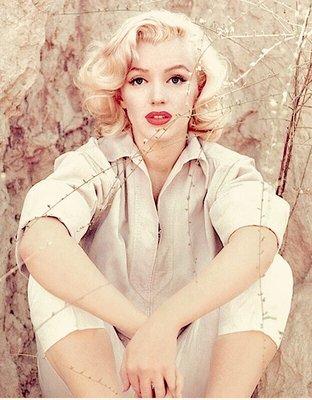 photo of Courtney M.