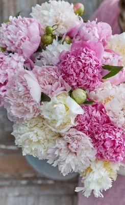 photo of Christina H.