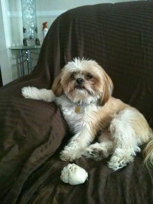 photo of Adrienne D.