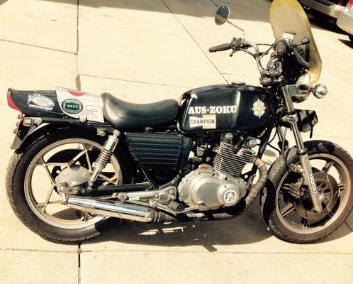 photo of Ratatouille M.