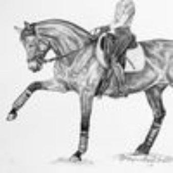 photo of Stephanie M.