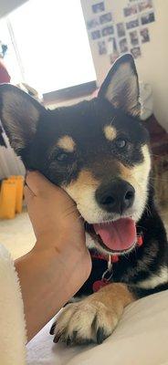 photo of Christie L.