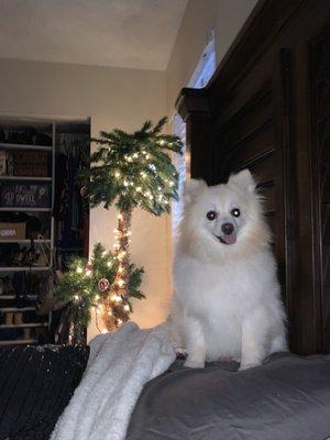 photo of Michelle C.