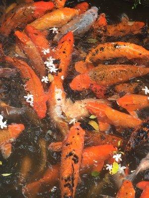 photo of Maelinda R.