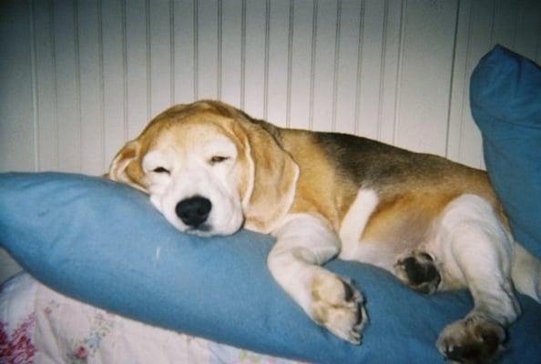 photo of Stephanie L.