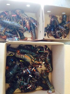 photo of Greatest E.