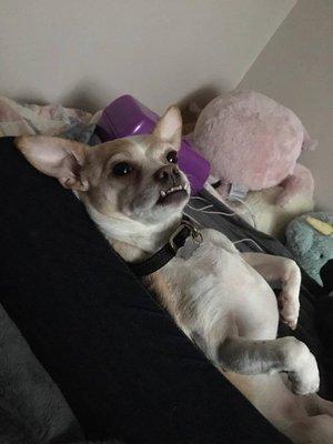 Photo of Tanache S.