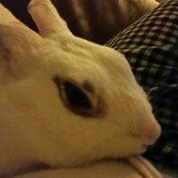 Photo of Cheris F.