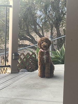 Photo of Yumi O.