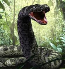 Photo of Titano B.