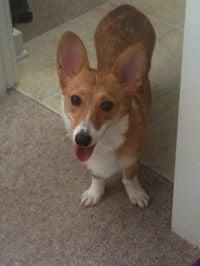 Photo of Ruby D.