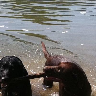 photo of Mallarry D.