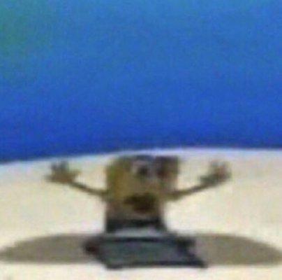 photo of Tamarrah M.