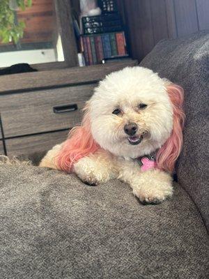 Photo of Daylee M.