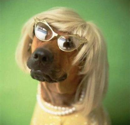 photo of Jennifer L.