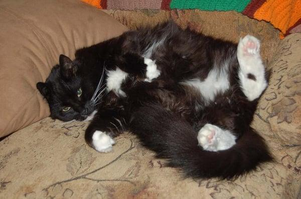 Photo of Nomar N.