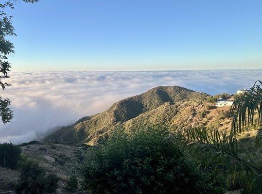 photo of Anonymous A.