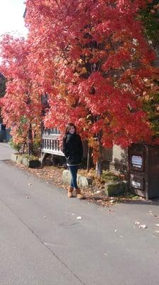 Photo of Gina P.