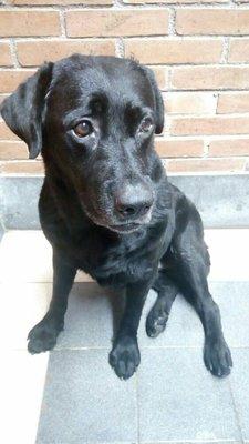 photo of Yosephin P.