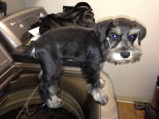 photo of Stephanie G.