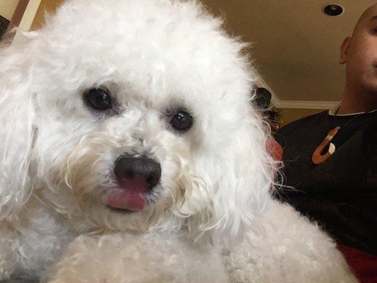 photo of Jonathan L.