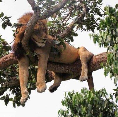 photo of Alexander W.