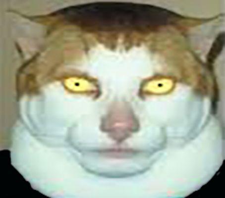 Photo of Ayan B.