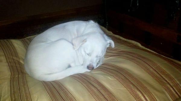 photo of HughJasole X.