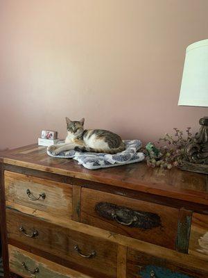 Photo of Gracie H.